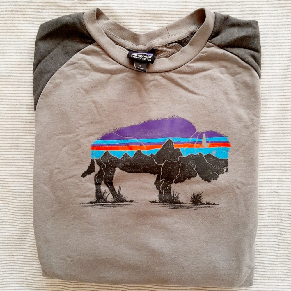 Men's Patagonia Sweater
